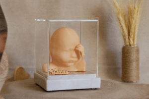 Modelo 3D de Feto com Base de Mármore Branco Sem Som