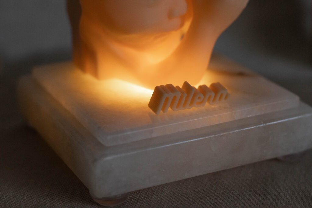 Fetal3D Cenario 21 1 1024x683