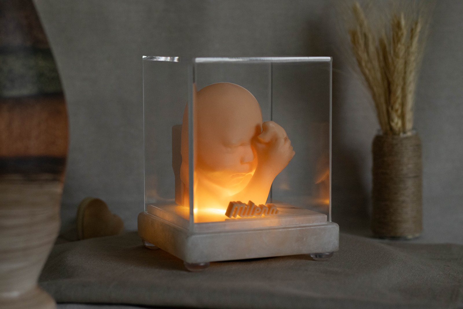 Modelo 3D de Feto com Base de Ônix