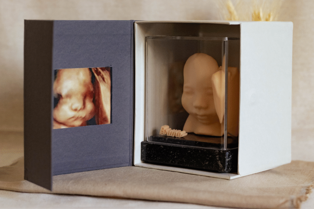 Fetal3D Cenario 8 Edit 1 1024x683